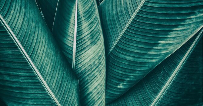 Massage Therapy Recommendations